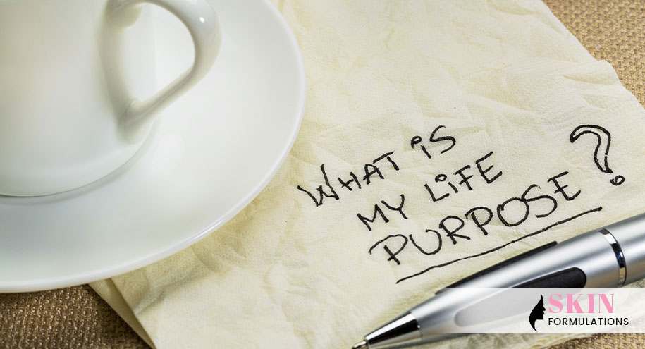 find your purpose in life