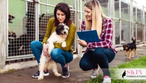 choose the right pet for your lifestyle