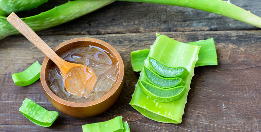 Aloe Vera